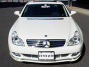 Chrome Bonnet Scope*, Chrome Fog Cover 2 pieces*, Chrome Front Grill*, Chrome Bumper Mesh*